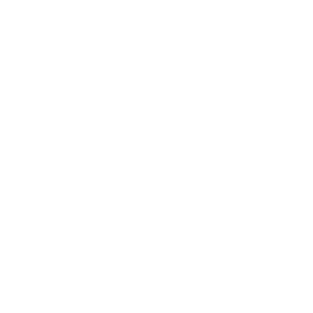 dashready logo